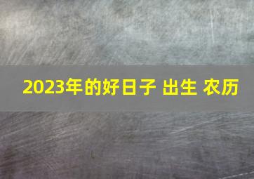 2023年的好日子 出生 农历